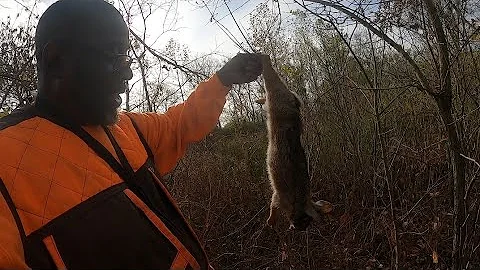 Too Thick to Rabbit Hunt | Arkansas Swamps