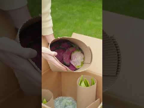 Reklama UGC dla e-commerce