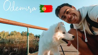 Download Lagu Most underrated Market village in ALENTEJO? Odemira Portugal | Nomad artist and samoyed dog MP3
