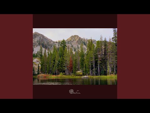 Feel Air In Your Lungs