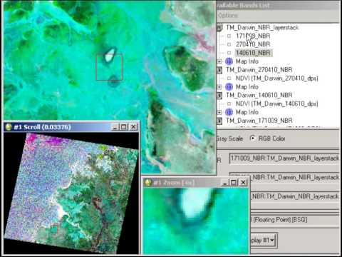 Environmental change - multidate image display