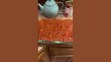 Thumbnail of Cooking my Guinea pigs! lol #shorts #memes #comedy #pets
