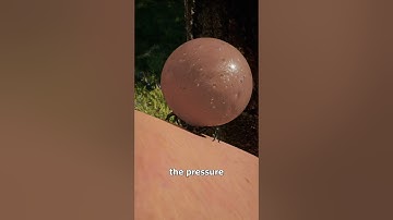 How Much Blood Can Ticks Hold? 🤯