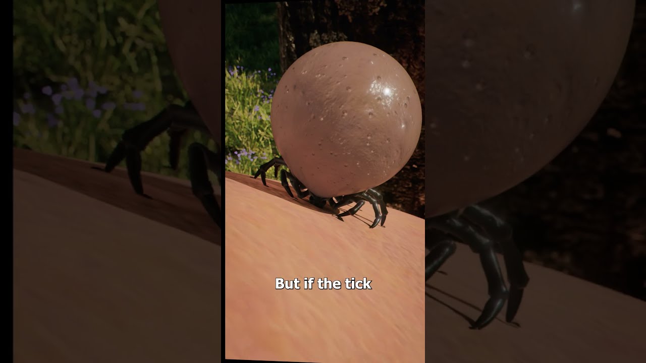 How Much Blood Can Ticks Hold 