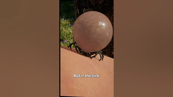 How Much Blood Can Ticks Hold? 🤯