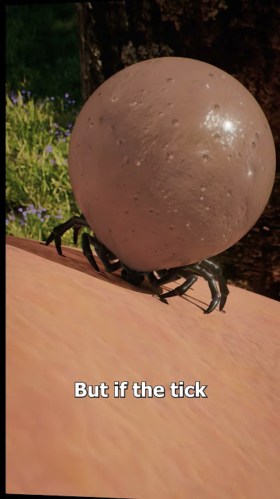 How Much Blood Can Ticks Hold? 🤯