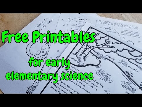 Science Worksheets for Early Elementary - Free Printables