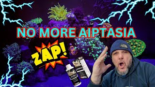 Say goodbye to aptasia with this trick!