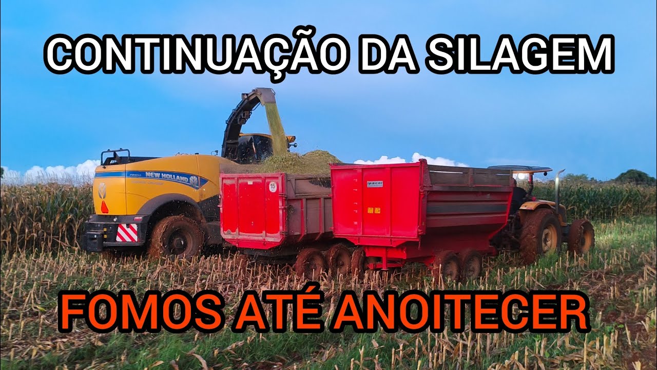CONTINUA A SILAGEM COM AUTOMOTRIZ FOMOS ATÉ ANOITECER FAZENDO SILAGEM