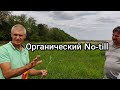 Органический No-till, опыт  Александра Федоренко