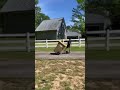 Boy Carries Trash on OneWheel