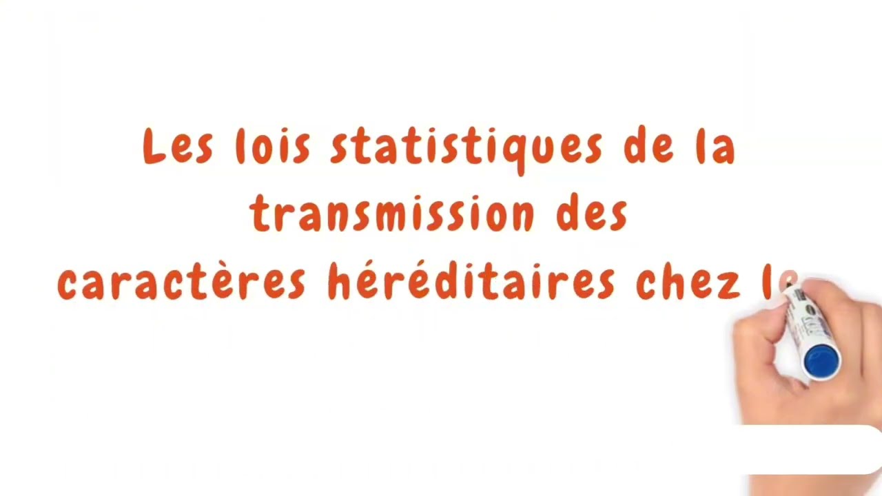Les lois statistiques de la transmission des caractères héréditaires 2Bac 