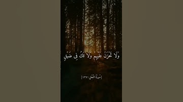 قرآن كريم القارئ الشيخ فارس عباد 🤍 #راحة_نفسية #لايك #اكسبلور