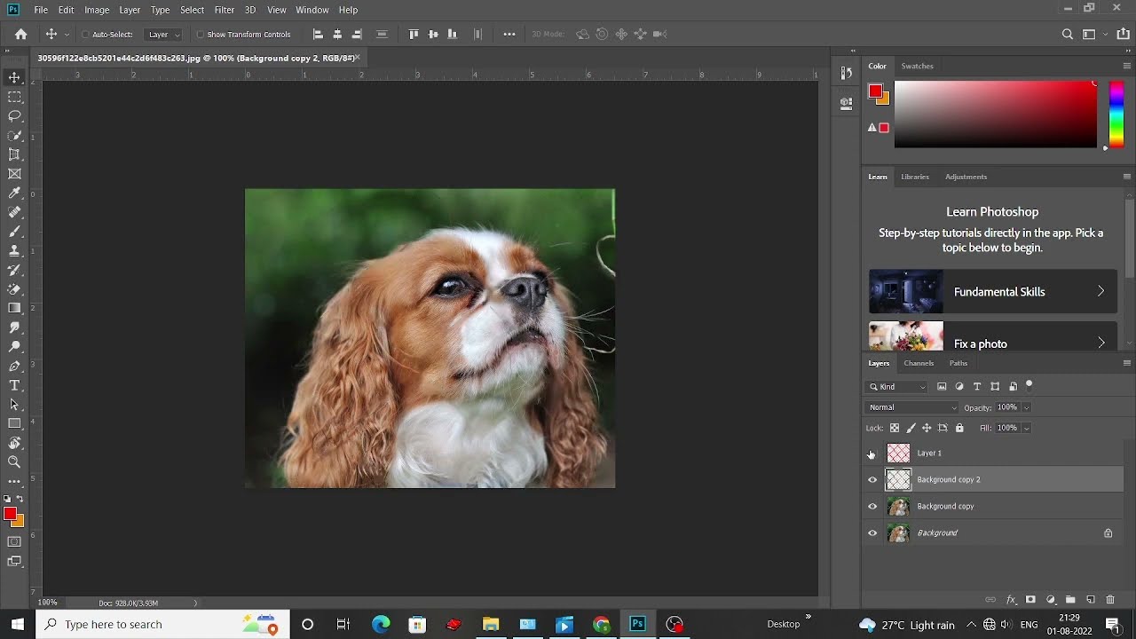 Remove dog Fence || photoshop cc || GFX EDITING