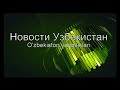 Узбекистан усиливает контроль за транспортом  при пересечении госграницы