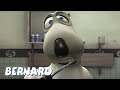 Bernard Bear | The Leak AND MORE | 30 min Compilation | Cartoons for Children