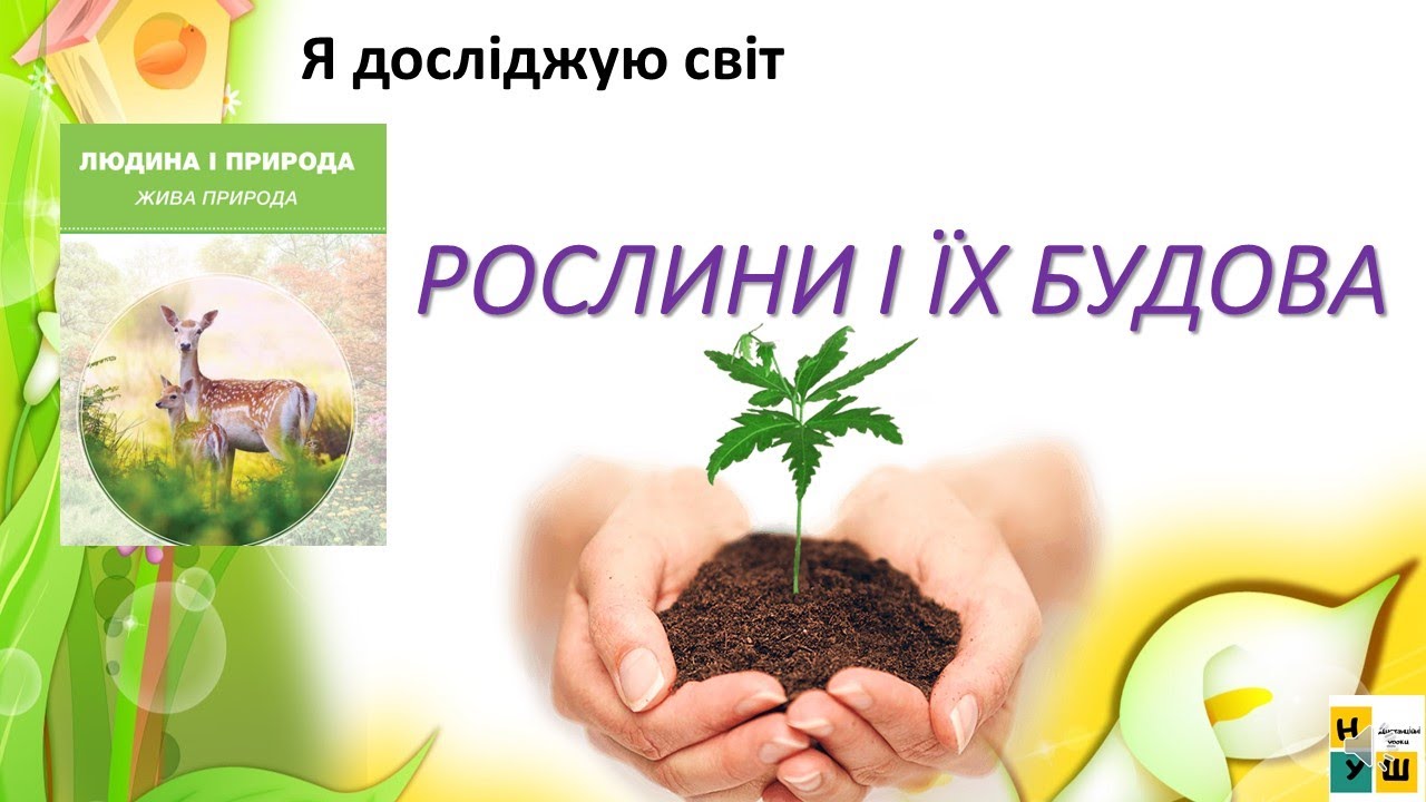 ЯДС  1 клас урок 44-46  РОСЛИНИ І ЇХ БУДОВА Жаркова