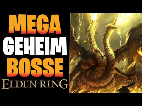 TOP 5 GEHEIME