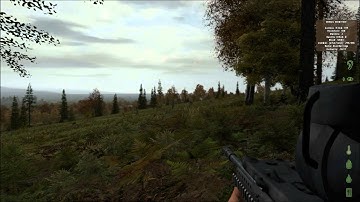 DayZ - Weapon Guide - L85A2 AWS