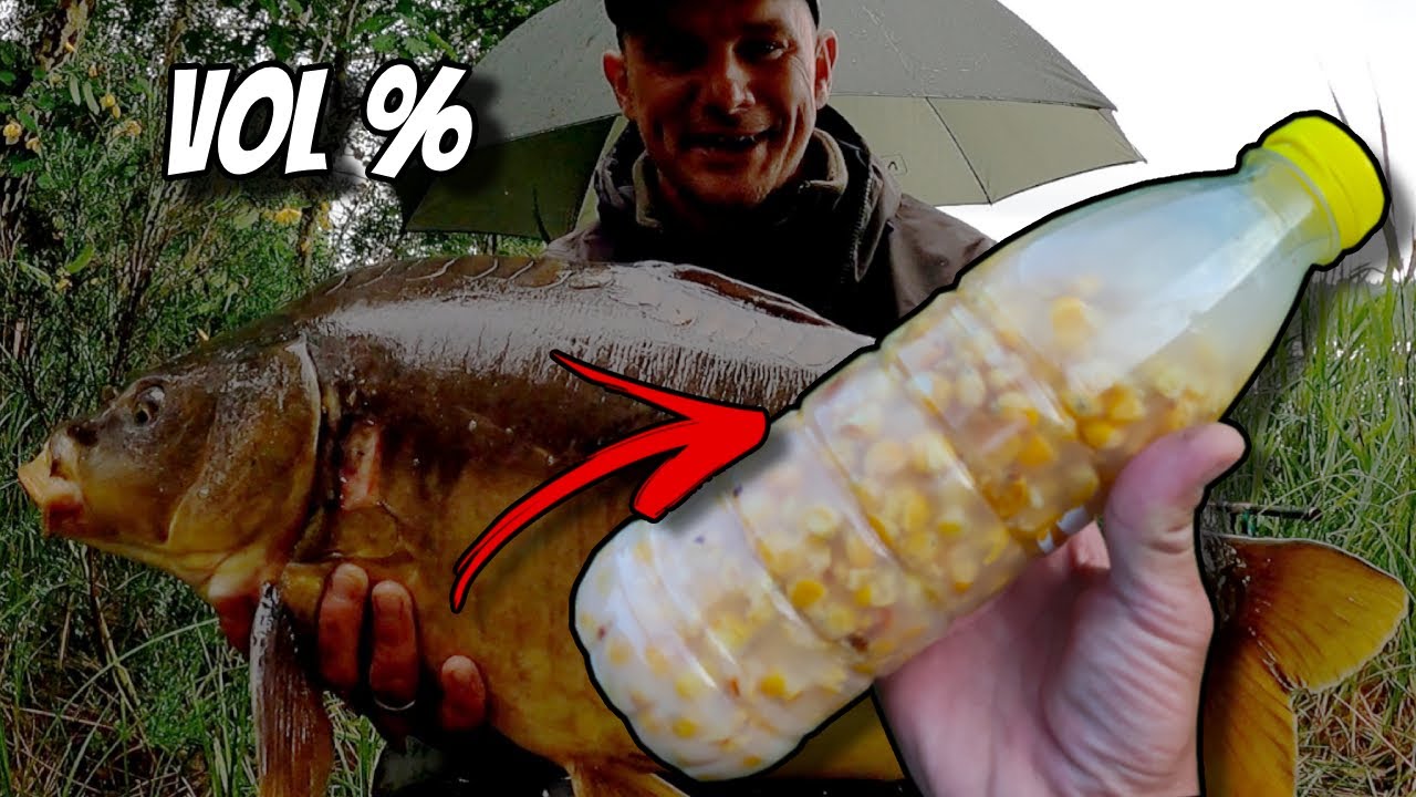 PIJANA KUKURYDZA !!! Na KARPIA, DUŻEGO LESZCZA !!! Wchodzą też liny !!!