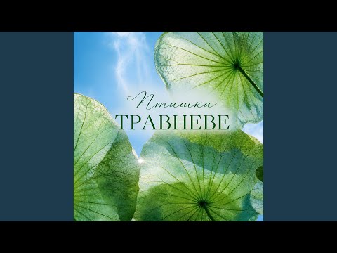 Через Поле Широкеє