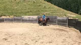 IMG 1723