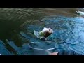 slow motion fishing #SHORT