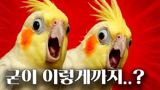 울산대공원 동물원 영상