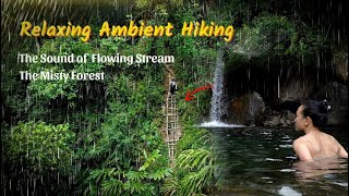 36 Hours of Relaxing Ambient Hiking in The Forest and The Sound of Flowing Streams | Mim Mim hiking