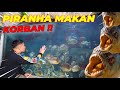 HUNTING IKAN LAUT LAGI EH DI SAMBUT PIRANHA TERG4NAS