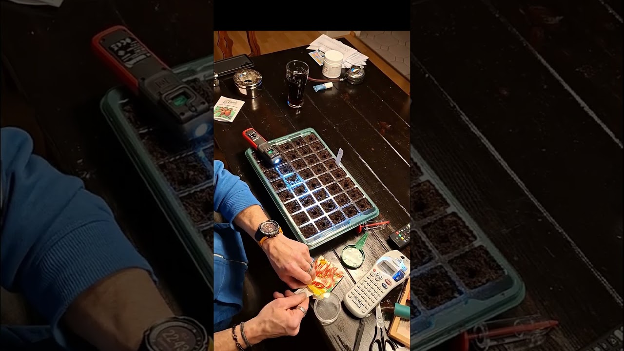 Wie sähen wir richtig an