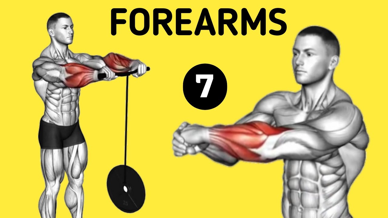 7 Best Effective workout for a Bigger FOREARMS || - YouTube