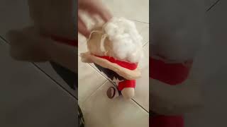 huggy buggy🪑👍🗿🥐