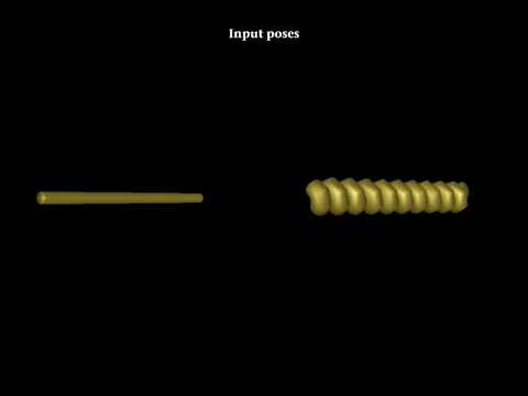 Multi-Scale Geometry Interpolation