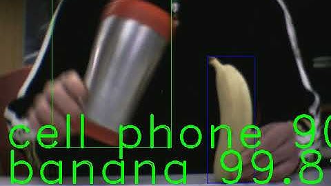 Adversarial examples in action