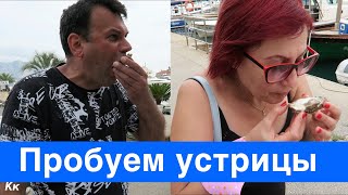 Пробуем Устрицы на Набережной в Будве, Черногория.