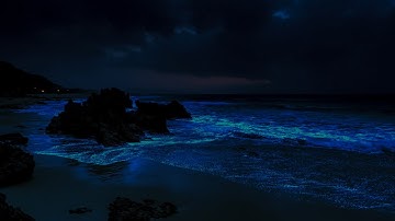Deep Sleeping 10 Hours - Fall Asleep In 5 Minutes With Soothing Ocean Sounds All Night Long