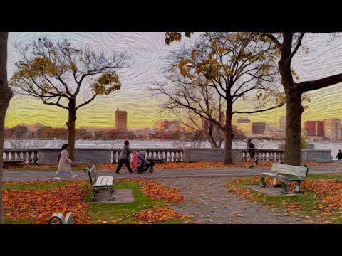 Video: Charles River Esplanade: Popoln vodnik