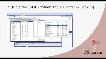 SQL Server [SQL Profiler, Table Trigger & Backup]