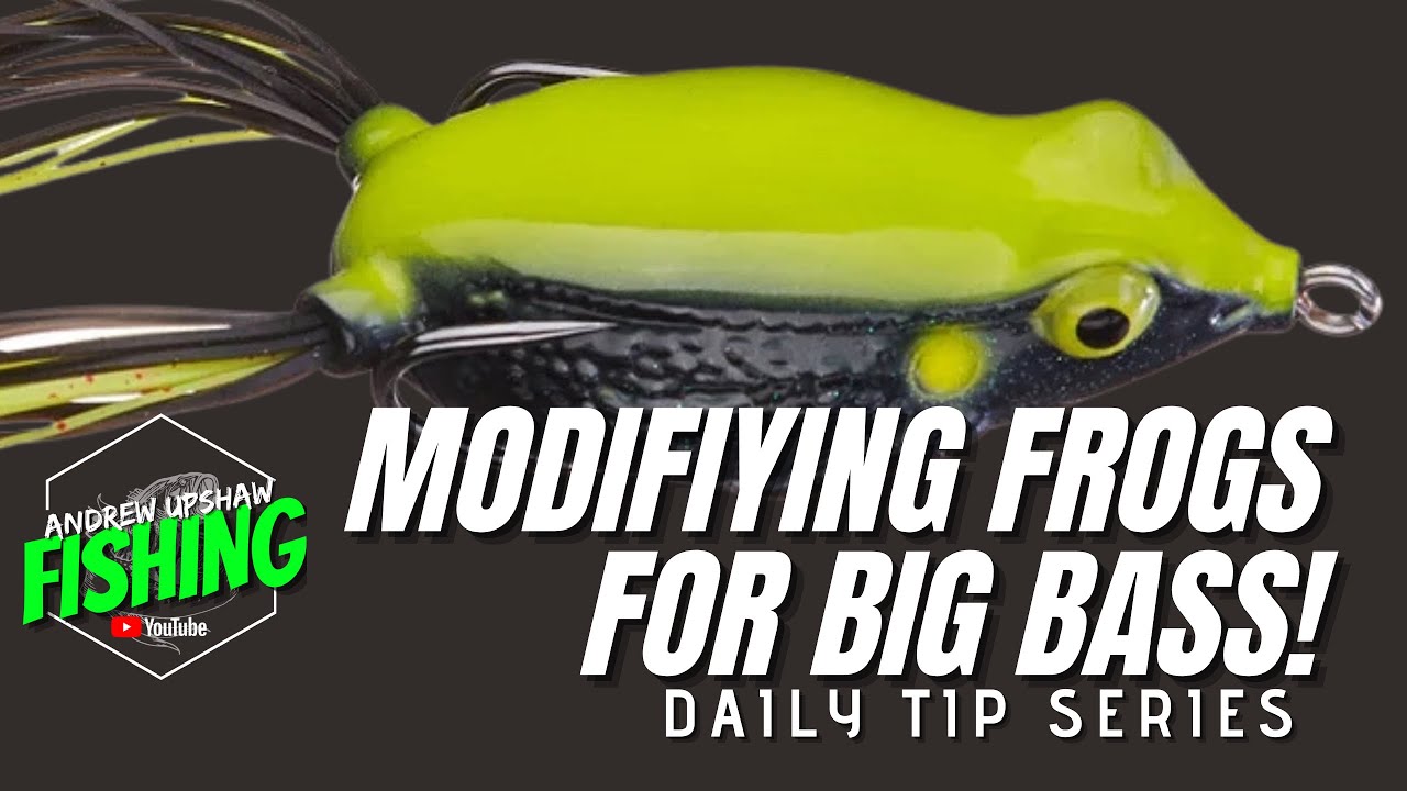 Pro Secrets Exposed! Frog Modifications that YOU Need To Know! (Ep. 27) 