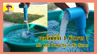 Air Lift Pump by 1 Air Stone แอร์ลิฟท์จิ๋ว 1 หัวทราย l คุณพ่อคราฟ EP.56