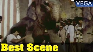 Pasamulla Pandiyare Tamil Movie Rajkiran Treat The Elephant Best Scene