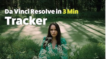 Learn DaVinci Resolve Tracking in 3 Min