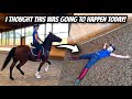 HOW TO TEACH A HORSE TO CANTER ON THE CORRECT LEAD - (Thoroughbred Horses) OTTB Series