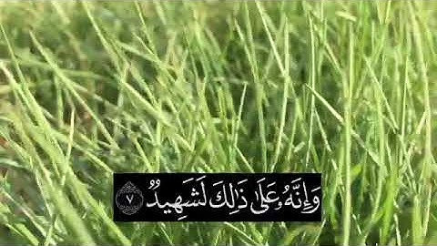 سورة العاديات// بصوت عبدالرحمن مسعد// اجمل حالات واتس اب دينية// حالات واتس اب قران كريم// انستغرام
