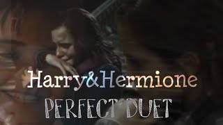 Harry&Hermione ~ Perfect Duet (Harry Potter)