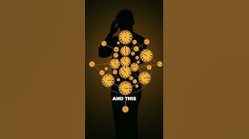 Circadian Rhythm Your Brain