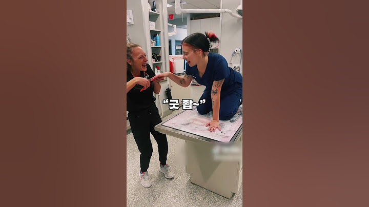 강아지별 발톱 깎는 유형