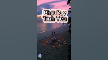 Phật dạy:"Tình Yêu" #phatphap #loiphatday #phatphapnhiemmau #tìnhyêu