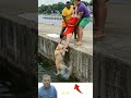 ثلاثة شبان يخاطرون بحياتهم لإنقاذ كلب عالق في المياه مشهد إنساني يهز القلوب ترند هشتاج Funny